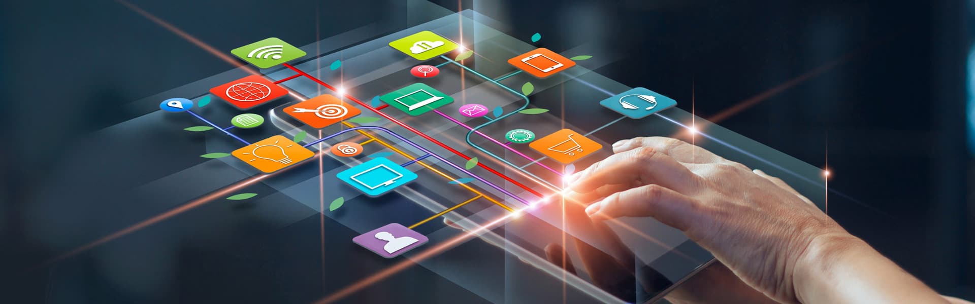 Software & Mobile Applications